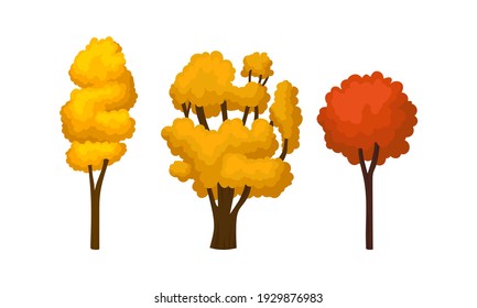 Autumn Trees with Trunk and Bright Foliage Vector Set