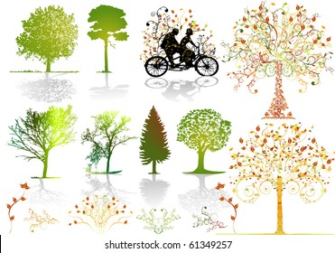 Autumn trees - vector color plants