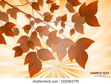 Autumn trees with yellow, golden, red leaves. Sun rays, glare. Autumn landscape. - Vector graphics