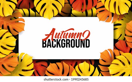 Autumn Tropical palm, monstera leaves background. Design Web banner template. Fallen yellow, red, orange leaf. Exotic hawaiian jungle. Vector illustration.