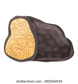 Autumn truffle icon cartoon vector. Vegetable truffle. Mushroom fungus