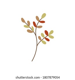 Autumn twig with colorful leaves vector flat illustration. Elegant simple branch isolated on white background