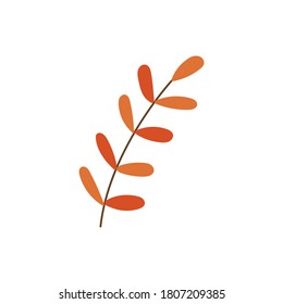 Autumn twig with orange leaves vector flat illustration. Elegant simple branch isolated on white background. Fall color