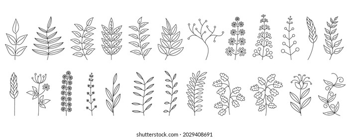 Autumn twigs. Black branches isolated. Set of linear autumn branches. Vector illustration.