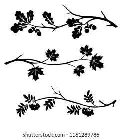 Autumn twigs of oak, rowan and maple silhouette. Vector illustration
