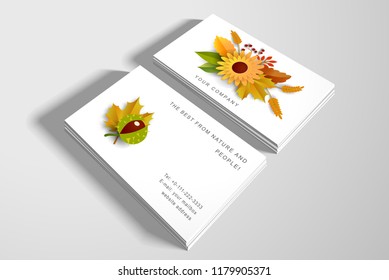 Autumn two business cards with leaves, flowers and seeds. Paper art.