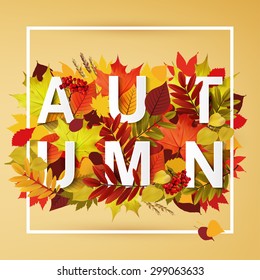 Autumn typographic. Fall leaf. Vector illustration EPS 10