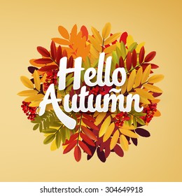 Autumn typographic. Fall leaf. Vector illustration EPS 10