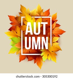 Autumn typographic. Fall leaf. Vector illustration EPS 10