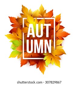 Autumn typographic. Fall leaf. Vector illustration EPS 10