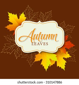 Autumn typographic. Fall leaf. Vector illustration EPS 10