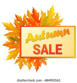 Autumn typographic. Fall leaf. Vector illustration EPS 10