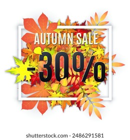 Autumn typographical background with autumn leaves. Autumn typographic. Fall leaf. Vector illustration EPS 10. Autumn sale -30 discount vector banner