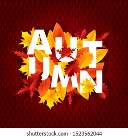Autumn Typography with Element Autumn