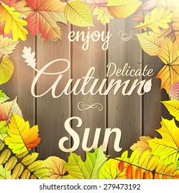 Autumn typography poster. EPS 10 vector file included
