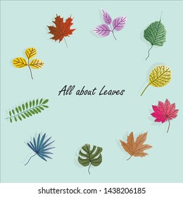 Autumn Vector (All about leaves)