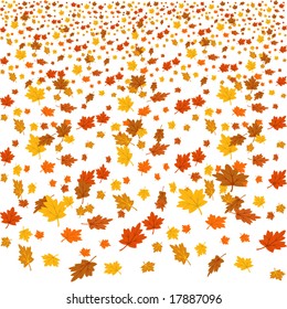 Autumn vector background