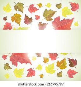 Autumn vector background or banner with leaves and place for text. Back to school and seasons theme. EPS 10