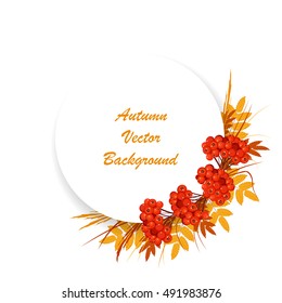 Autumn vector background. Corner composition with rowan leaves and berries. White round banner with place for your text.