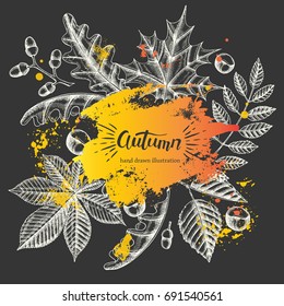 Autumn vector background with doddle hand drawn leaves and brush stroke. Sketch. Hand made lettering. Banner, flyer, brochure. Advertising