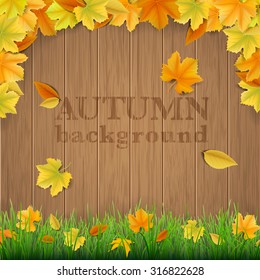 Autumn vector background with fallen leaves, green grass and wooden boards.