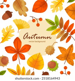 Fondo de Vector de otoño con follaje para tarjeta, invitación o Anuncio de Web. Verdor y Elementos florales en un estilo contemporáneo.