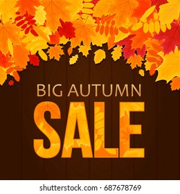 Autumn Vector Background with Foliage on Wood. Sale Banner. Vector Illustration.