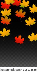 Autumn Vector Background with Golden Falling Leaves. Autumn Illustration with Maple Red, Orange, Yellow Foliage. Isolated Leaf on Transparent Background. Bright Swirl. Suitable for Covers.