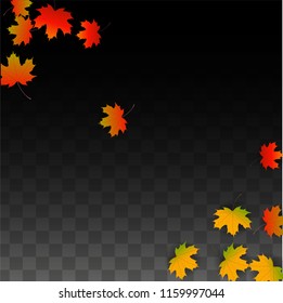 Autumn Vector Background with Golden Falling Leaves. Autumn Illustration with Maple Red, Orange, Yellow Foliage. Isolated Leaf on Transparent Background. Bright Swirl. Suitable for Covers.