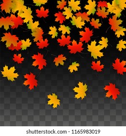 Autumn Vector Background with Golden Falling Leaves. Autumn Illustration with Maple Red, Orange, Yellow Foliage. Isolated Leaf on Transparent Background. Bright Swirl. Suitable for Posters.
