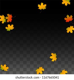 Autumn Vector Background with Golden Falling Leaves. Autumn Illustration with Maple Red, Orange, Yellow Foliage. Isolated Leaf on Transparent Background. Bright Swirl. Suitable for Banners.