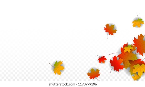 Autumn Vector Background with Golden Falling Leaves. Autumn Illustration with Maple Red, Orange, Yellow Foliage. Isolated Leaf on Transparent Background. Bright Swirl. Suitable for Covers.