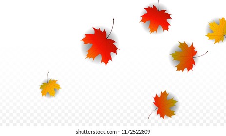 Autumn Vector Background with Golden Falling Leaves. Autumn Illustration with Maple Red, Orange, Yellow Foliage. Isolated Leaf on Transparent Background. Bright Swirl. Suitable for Covers.