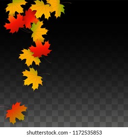Autumn Vector Background with Golden Falling Leaves. Autumn Illustration with Maple Red, Orange, Yellow Foliage. Isolated Leaf on Transparent Background. Bright Swirl. Suitable for Posters.