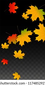 Autumn Vector Background with Golden Falling Leaves. Autumn Illustration with Maple Red, Orange, Yellow Foliage. Isolated Leaf on Transparent Background. Bright Swirl. Suitable for Posters.