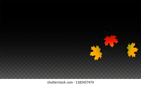 Autumn Vector Background with Golden Falling Leaves. Autumn Illustration with Maple Red, Orange, Yellow Foliage. Isolated Leaf on Transparent Background. Bright Swirl. Suitable for Covers.