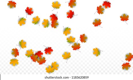 Autumn Vector Background with Golden Falling Leaves. Autumn Illustration with Maple Red, Orange, Yellow Foliage. Isolated Leaf on Transparent Background. Bright Swirl. Suitable for Flyers.