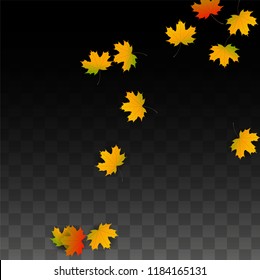 Autumn Vector Background with Golden Falling Leaves. Autumn Illustration with Maple Red, Orange, Yellow Foliage. Isolated Leaf on Transparent Background. Bright Swirl. Suitable for Posters.