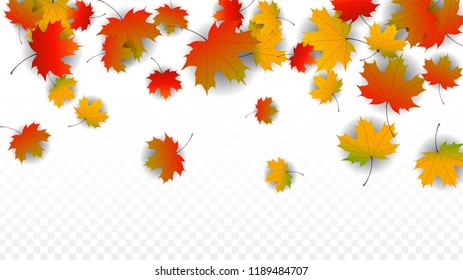 Autumn Vector Background with Golden Falling Leaves. Autumn Illustration with Maple Red, Orange, Yellow Foliage. Isolated Leaf on Transparent Background. Bright Swirl. Suitable for Covers.