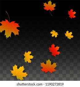 Autumn Vector Background with Golden Falling Leaves. Autumn Illustration with Maple Red, Orange, Yellow Foliage. Isolated Leaf on Transparent Background. Bright Swirl. Suitable for Flyers.