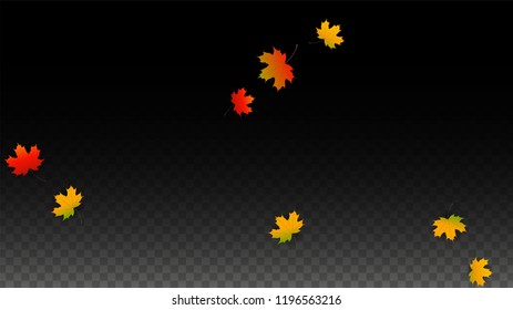 Autumn Vector Background with Golden Falling Leaves. Autumn Illustration with Maple Red, Orange, Yellow Foliage. Isolated Leaf on Transparent Background. Bright Swirl. Suitable for Covers.