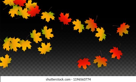 Autumn Vector Background with Golden Falling Leaves. Autumn Illustration with Maple Red, Orange, Yellow Foliage. Isolated Leaf on Transparent Background. Bright Swirl. Suitable for Cards.