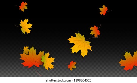 Autumn Vector Background with Golden Falling Leaves. Autumn Illustration with Maple Red, Orange, Yellow Foliage. Isolated Leaf on Transparent Background. Bright Swirl. Suitable for Banners.