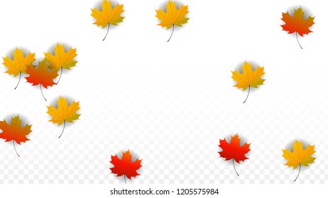 Autumn Vector Background with Golden Falling Leaves. Autumn Illustration with Maple Red, Orange, Yellow Foliage. Isolated Leaf on Transparent Background. Bright Swirl. Suitable for Flyers.