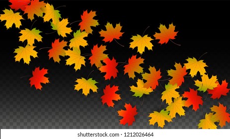 Autumn Vector Background with Golden Falling Leaves. Autumn Illustration with Maple Red, Orange, Yellow Foliage. Isolated Leaf on Transparent Background. Bright Swirl. Suitable for Covers.