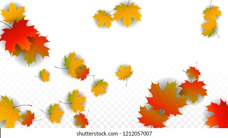 252 Forrest school Images, Stock Photos & Vectors | Shutterstock