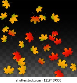 Autumn Vector Background with Golden Falling Leaves. Autumn Illustration with Maple Red, Orange, Yellow Foliage. Isolated Leaf on Transparent Background. Bright Swirl. Suitable for Flyers.