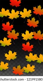 Autumn Vector Background with Golden Falling Leaves. Autumn Illustration with Maple Red, Orange, Yellow Foliage. Isolated Leaf on Transparent Background. Bright Swirl. Suitable for Banners.