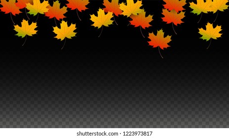 Autumn Vector Background with Golden Falling Leaves. Autumn Illustration with Maple Red, Orange, Yellow Foliage. Isolated Leaf on Transparent Background. Bright Swirl. Suitable for Cards.