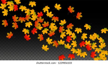 Autumn Vector Background with Golden Falling Leaves. Autumn Illustration with Maple Red, Orange, Yellow Foliage. Isolated Leaf on Transparent Background. Bright Swirl. Suitable for Covers.